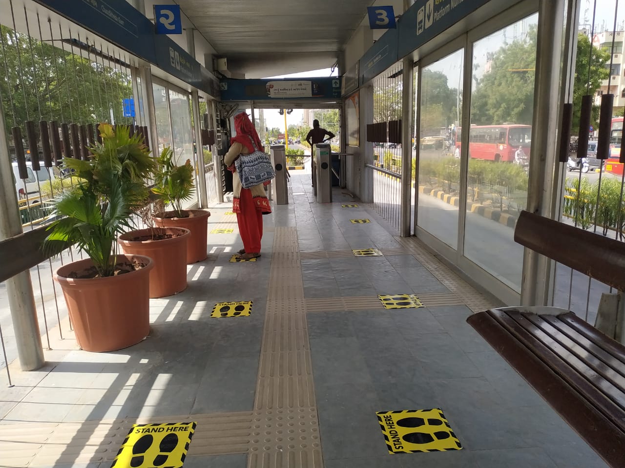 Amur leopard image 12