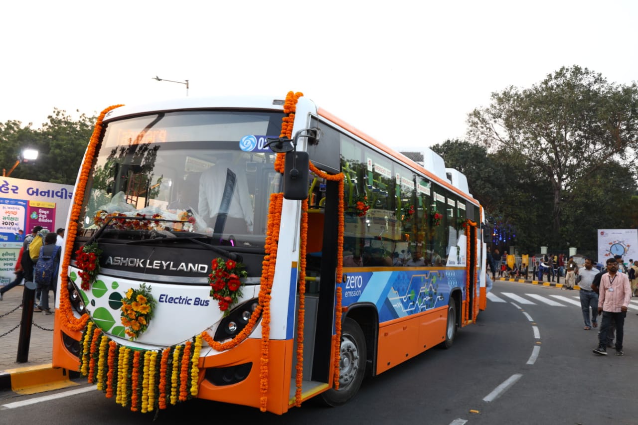 Amur leopard image 14