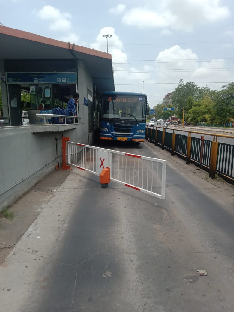 Amur leopard image 16