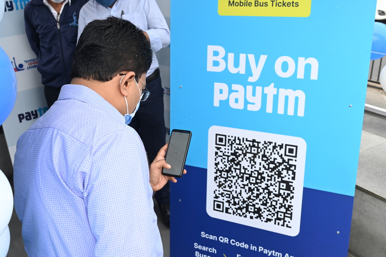 Amur leopard image 1