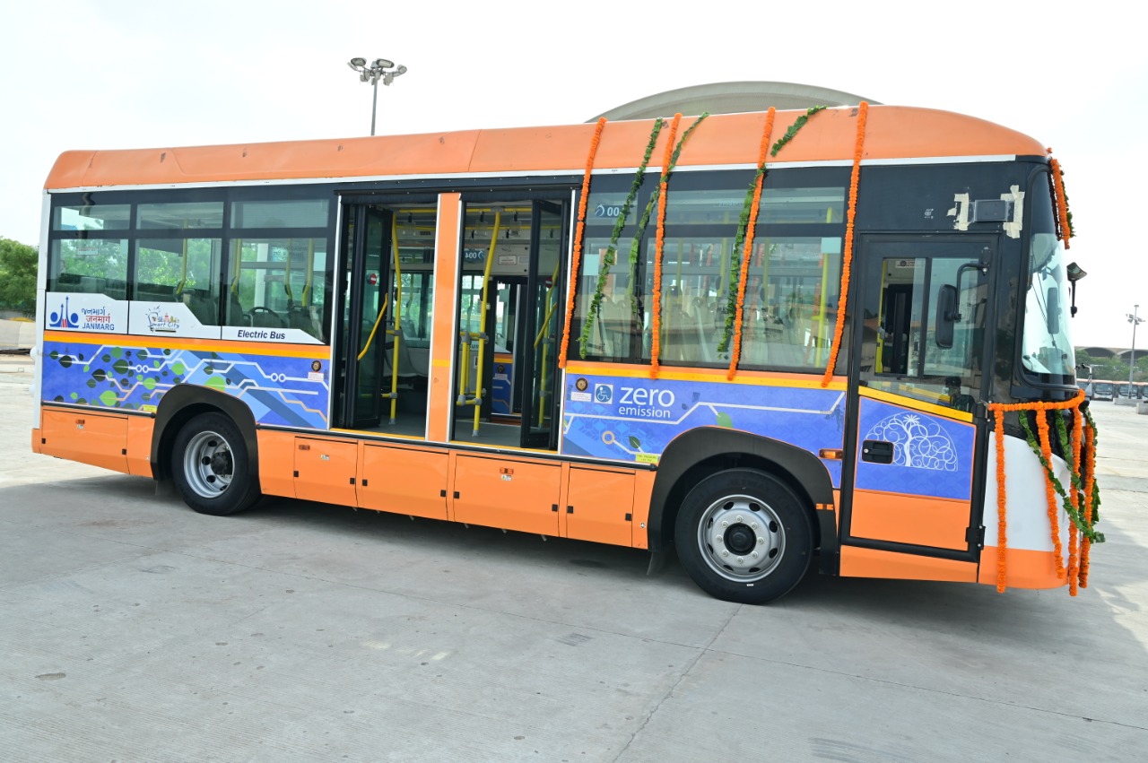 Amur leopard image 20