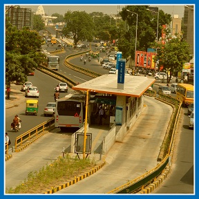 Amur leopard image 21