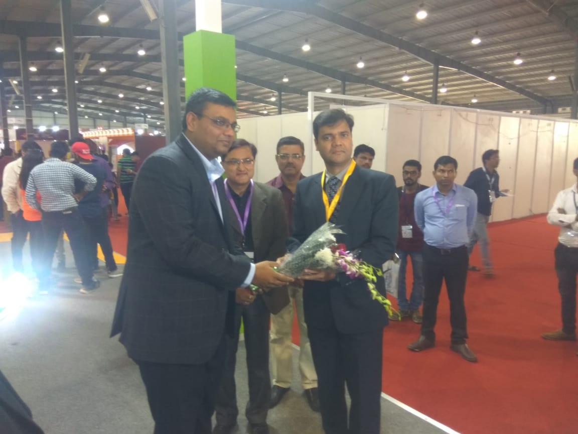 Amur leopard image 25