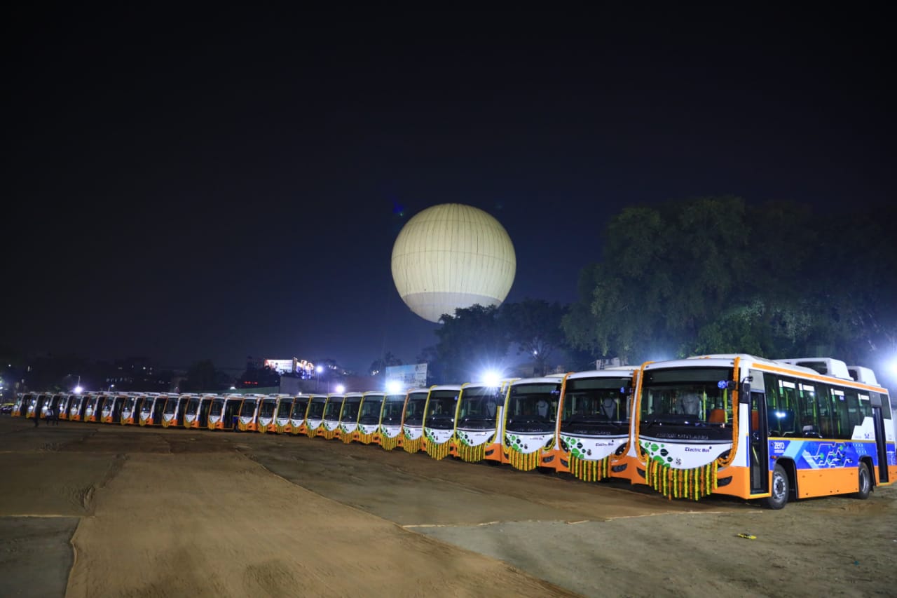Amur leopard image 2
