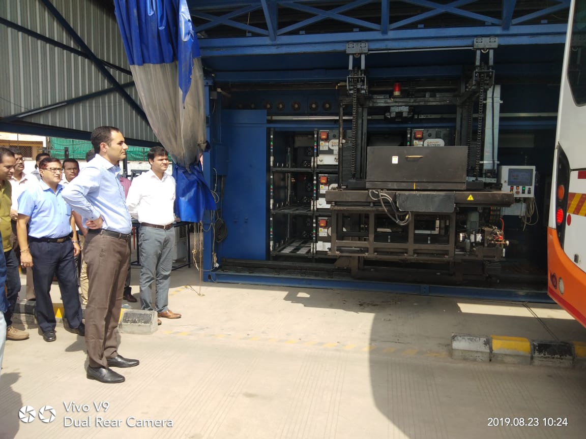 Amur leopard image 29