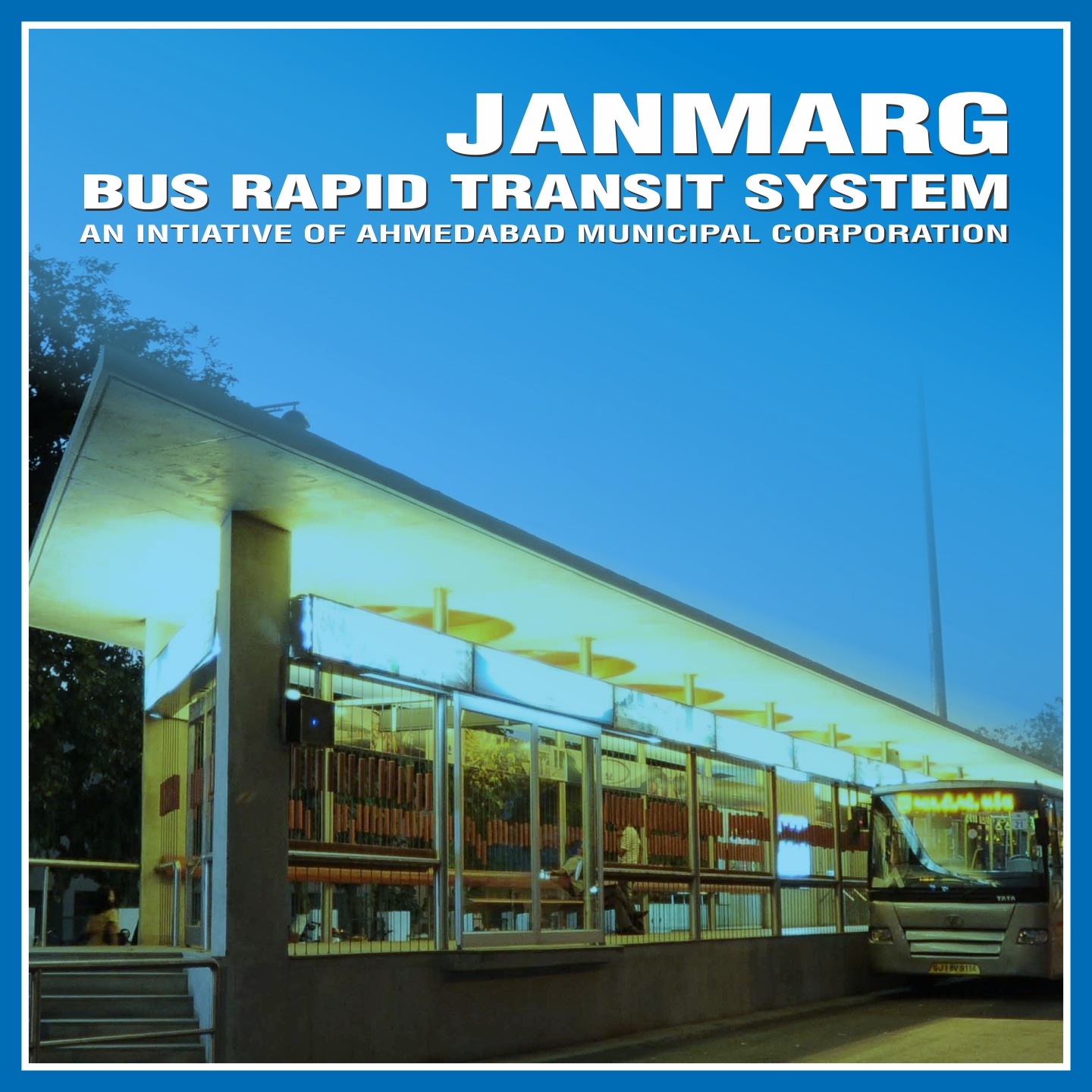 Amur leopard image 30