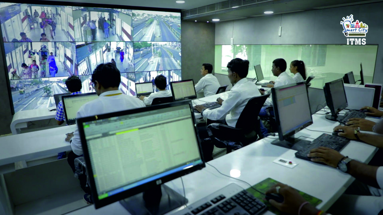 Amur leopard image 3