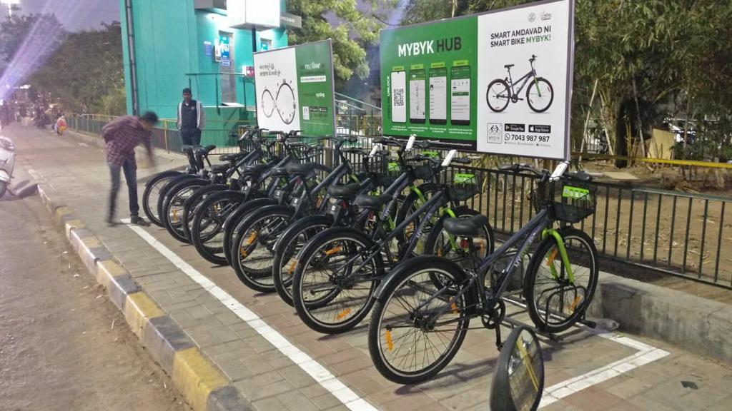 Amur leopard image 8